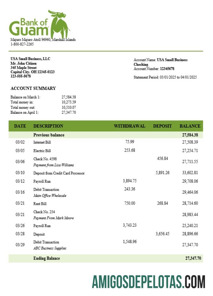 Profesional bank of Guamanian bisnis rekening laporan Word and PDF templat (1)