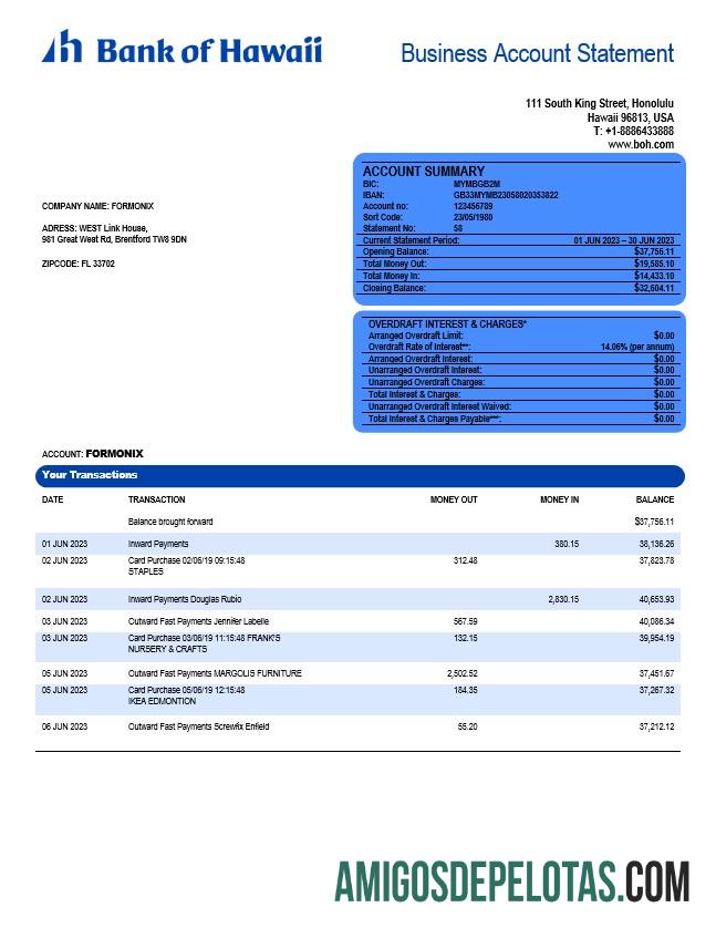 Premium bank of Hawaii firm rekening laporan Word and PDF templat