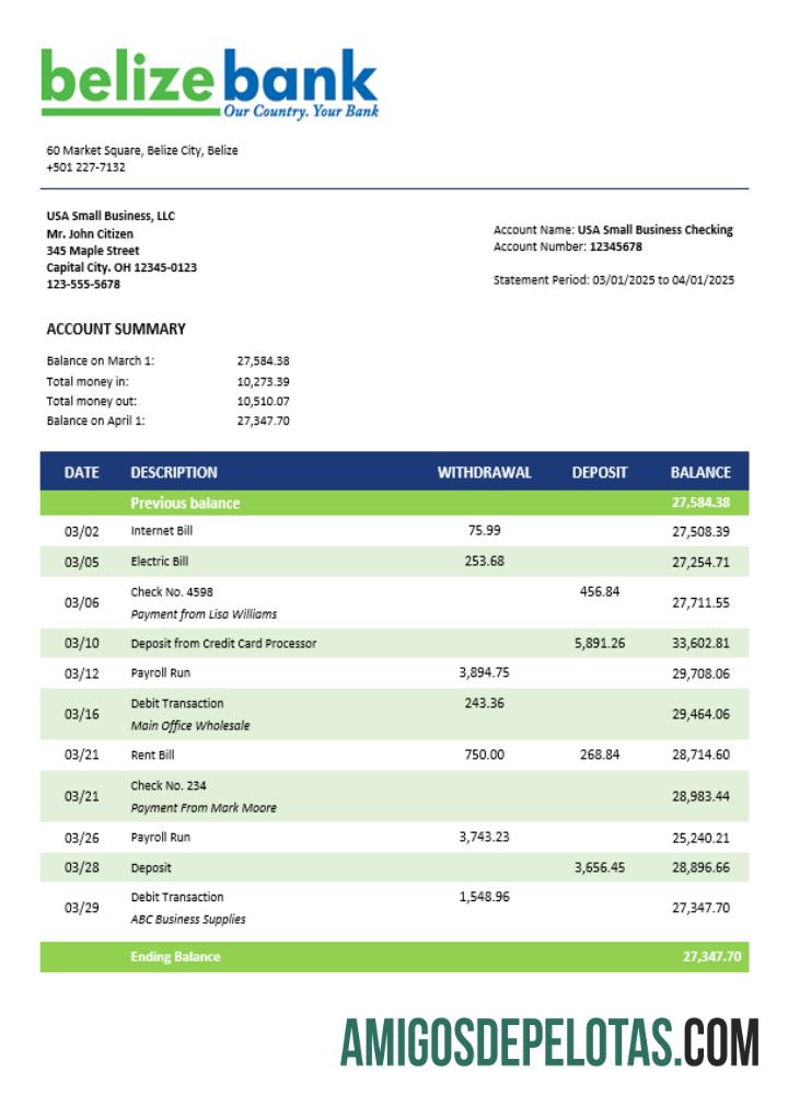 Profesional Belizean bank Perusahaan checking rekening laporan Word and PDF templat