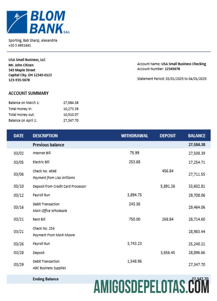 Realistis Blom bank of Mesir enterprise rekening laporan Word and PDF templat