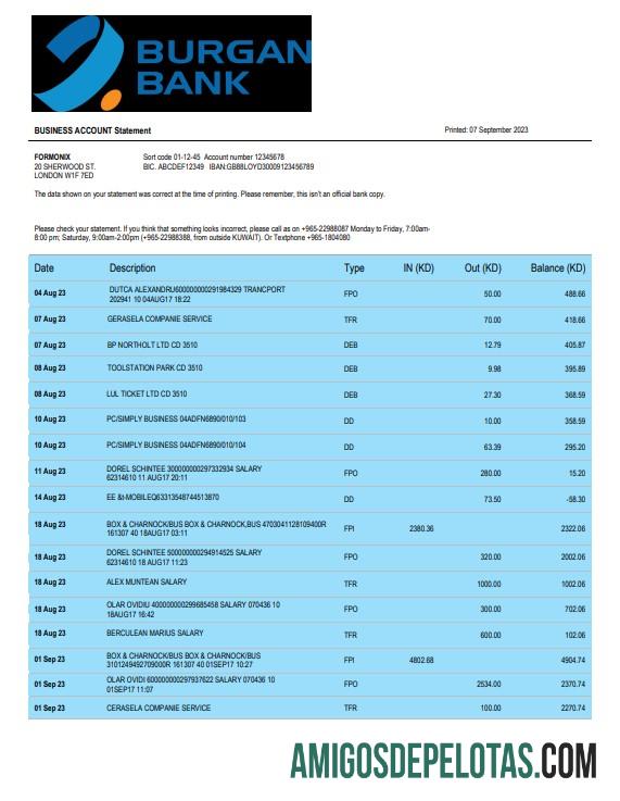Premium Burgan bank enterprise rekening laporan Word and PDF templat