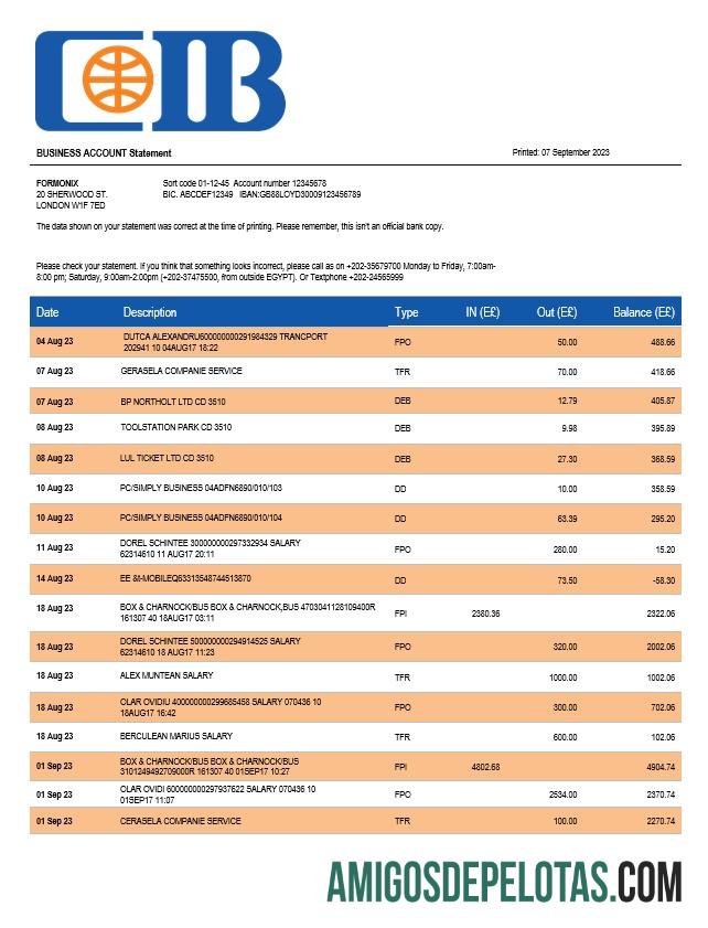 Premium CIB bank enterprise rekening laporan Word and PDF templat