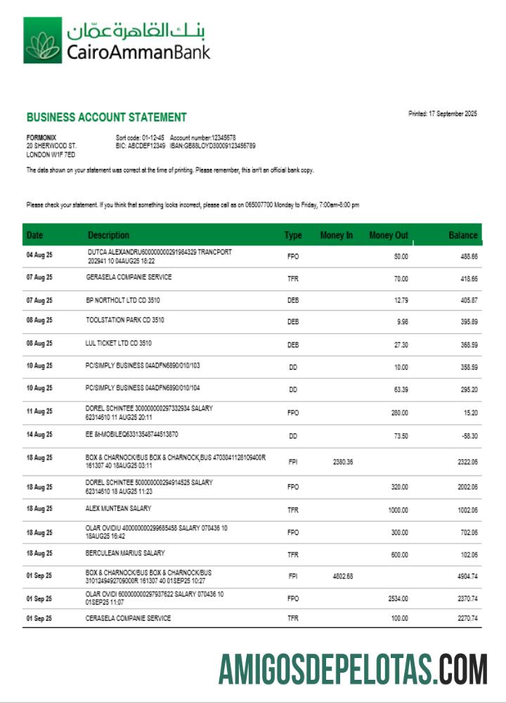 Realistis Cairo Amman bank organization checking rekening laporan Word and PDF templat