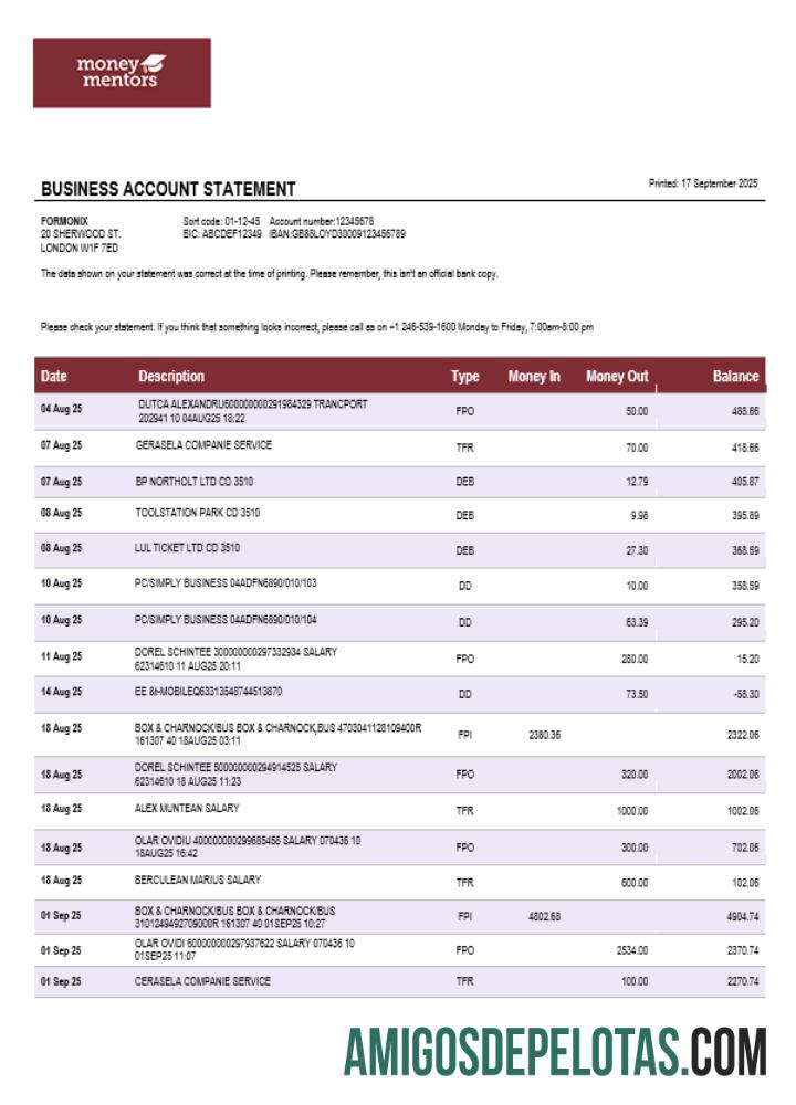 Canadian Money Mentors (MM) bisnis organization checking laporan Word and PDF format sampel