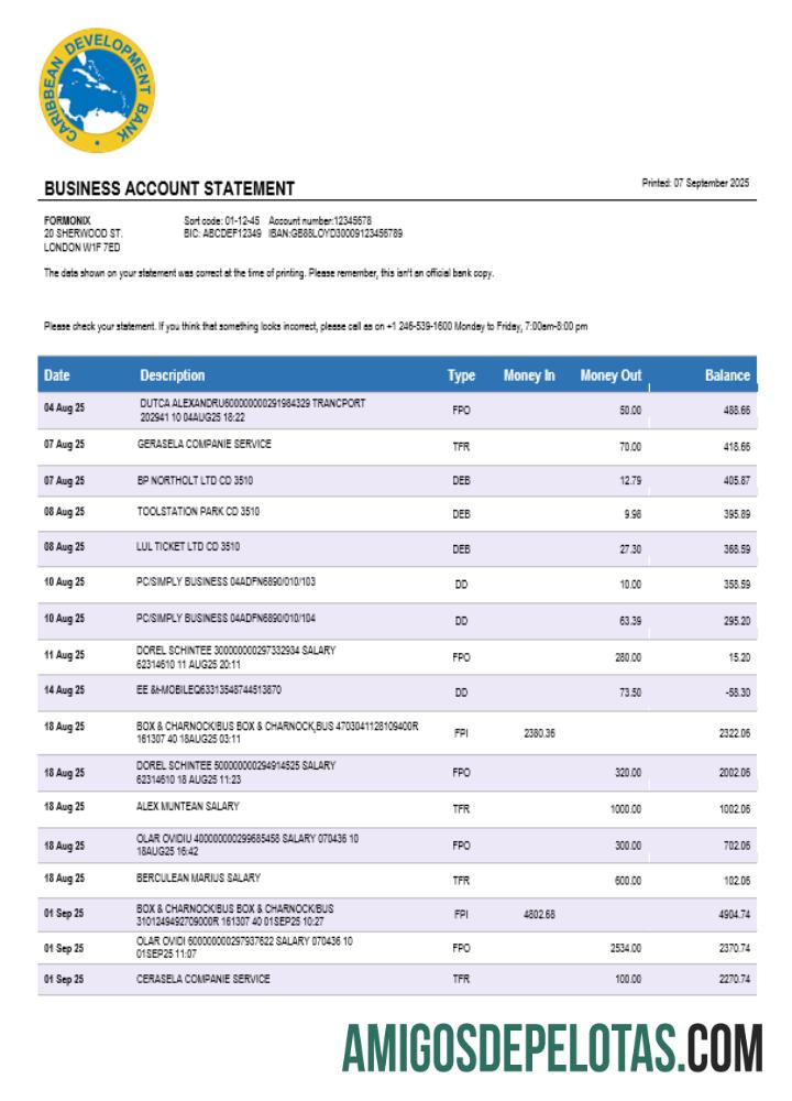 Realistis Caribbean Development bank firm rekening laporan Word and PDF templat