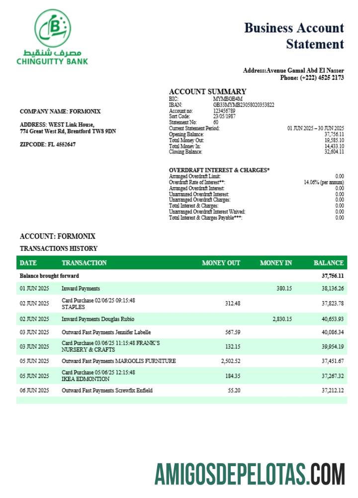 Profesional Chinguitty firm rekening laporan Word and PDF templat (1)