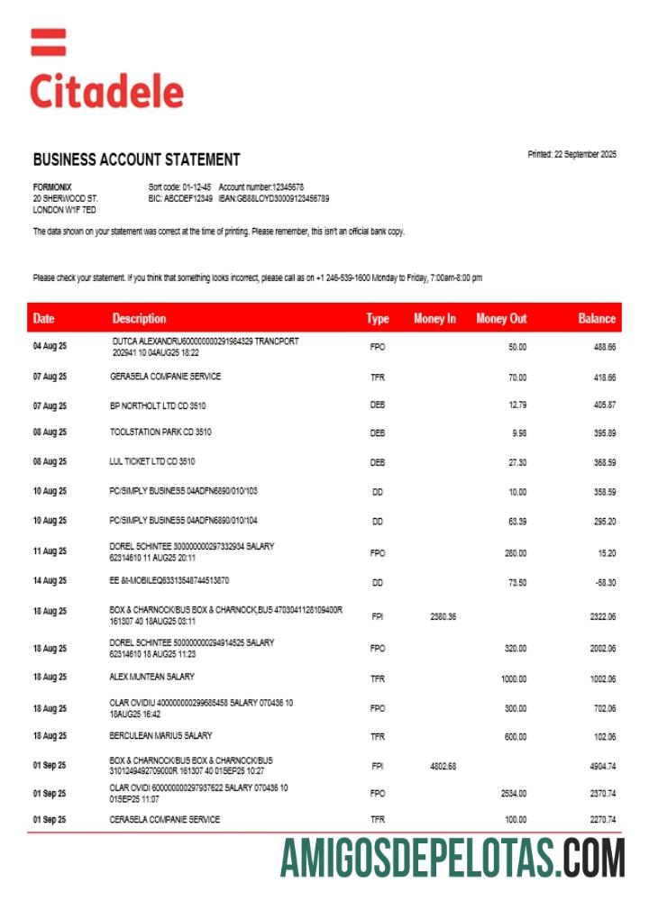 Premium Citadele enterprise rekening laporan Word and PDF templat (1)