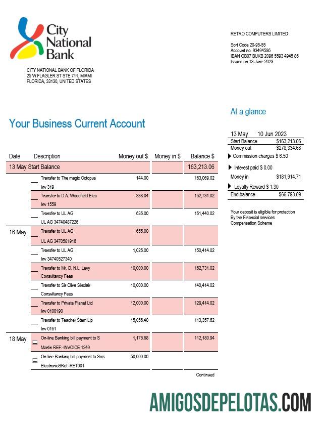Realistis City nasional bank of Florida firm rekening laporan Word and PDF templat