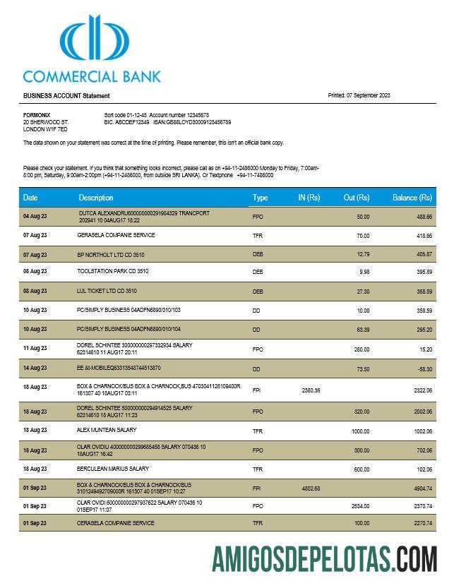Dapat Diedit komersial bank firm laporan Word and PDF templat