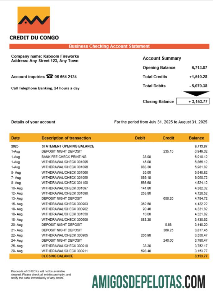 Realistis Kongo Kredit du Kongo bank bisnis rekening laporan Word and PDF templat
