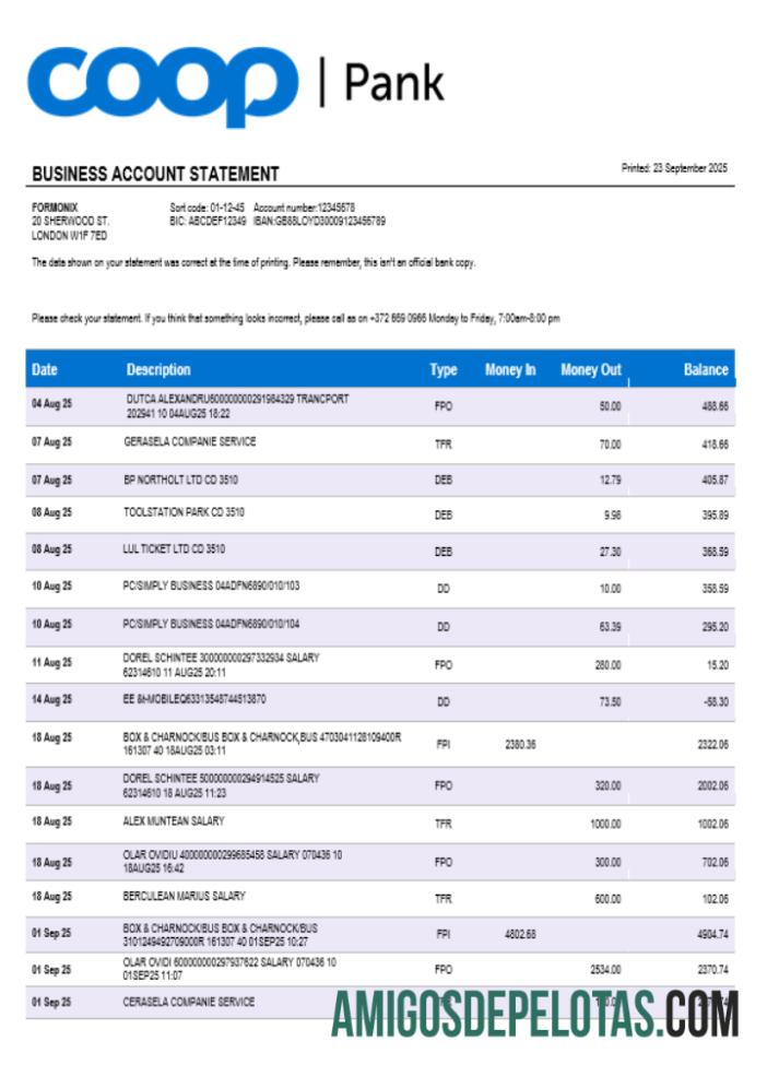 Berkualitas Coop Pank Perusahaan checking rekening laporan Word and PDF templat