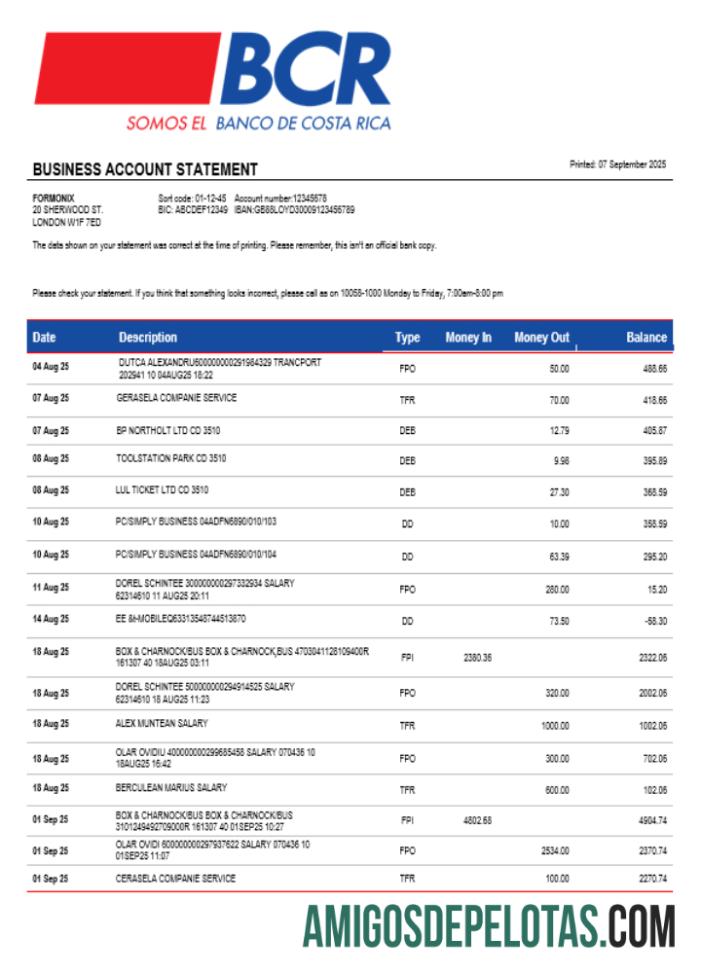 Costa Rican The bank of Costa Rican bank organization checking rekening laporan Word and PDF format pratinjau