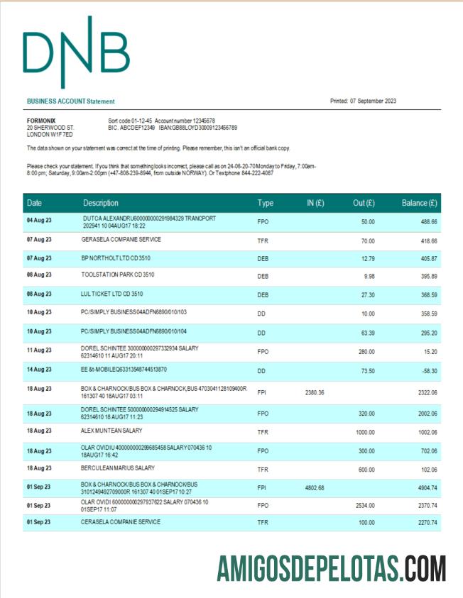 Profesional DNB bank firm rekening laporan Word and PDF templat