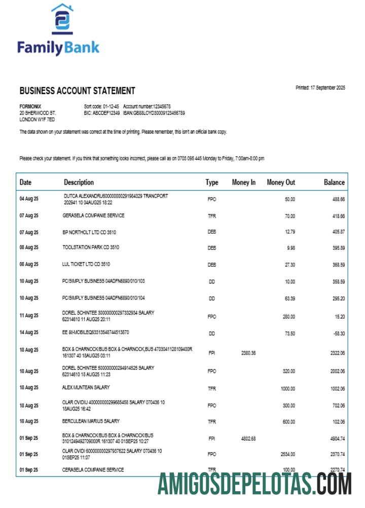 Realistis Family Perusahaan checking rekening laporan Word and PDF templat 1
