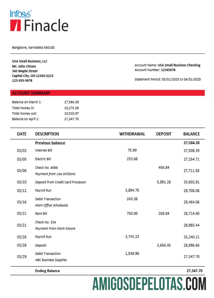 Finacle bisnis firm laporan Word and PDF format sampel