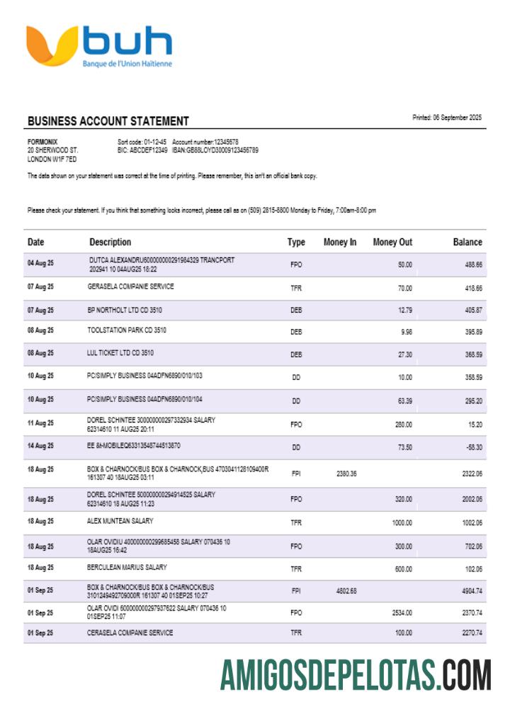 Haiti BUH bisnis firm laporan Word and PDF format pratinjau