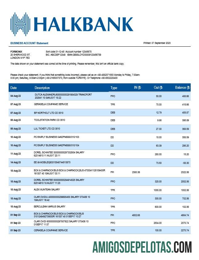 Profesional Halkbank bisnis laporan Word and PDF templat