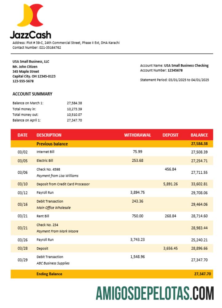 Jazz Cash bisnis firm laporan Word and PDF format templat