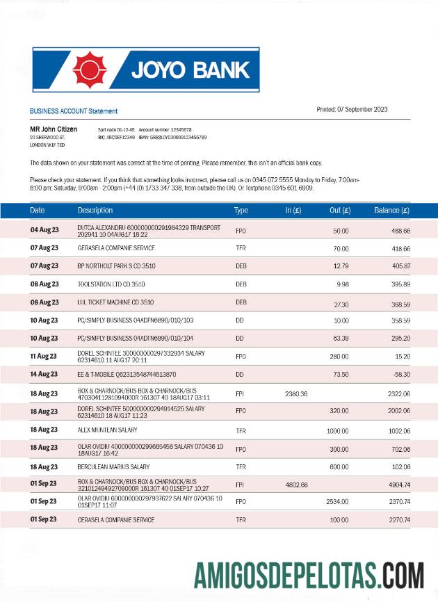 Dapat Diedit Joyo bank Perusahaan checking rekening laporan Word and PDF templat