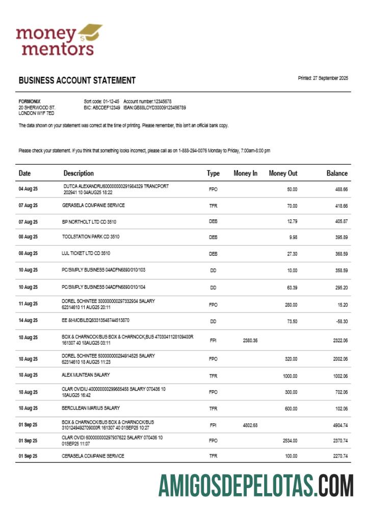 Realistis Money Mentors Perusahaan checking rekening laporan Word and PDF templat (1)