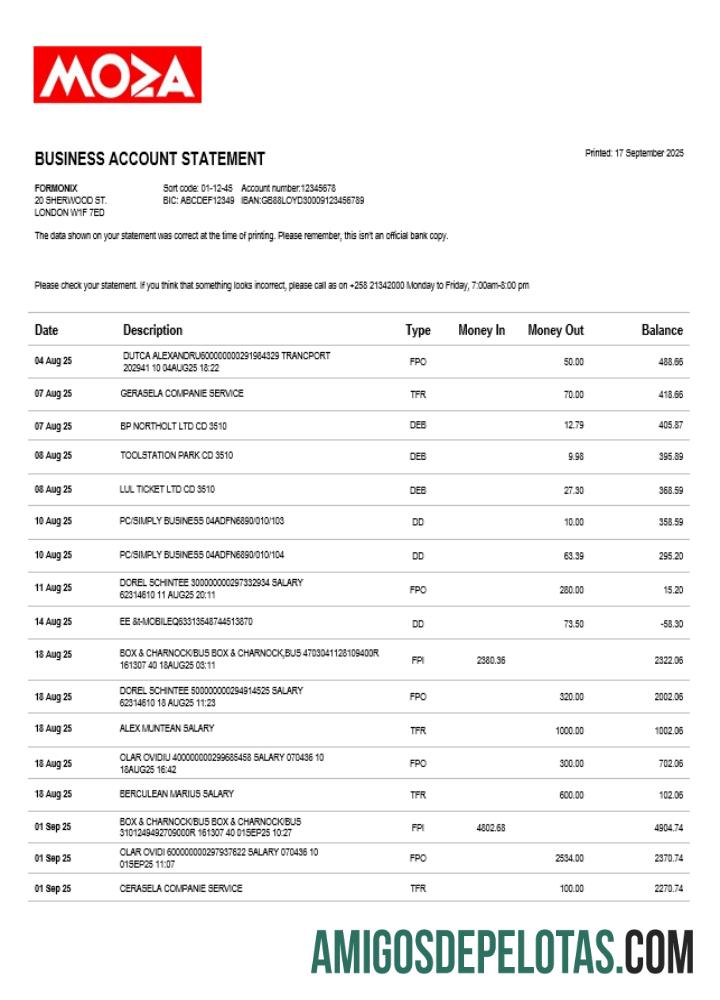 Realistis Moza Banco firm rekening laporan Word and PDF templat (1)