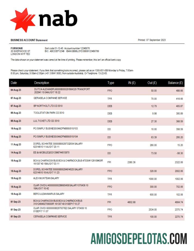 Profesional NAB bank Perusahaan rekening laporan Word and PDF templat