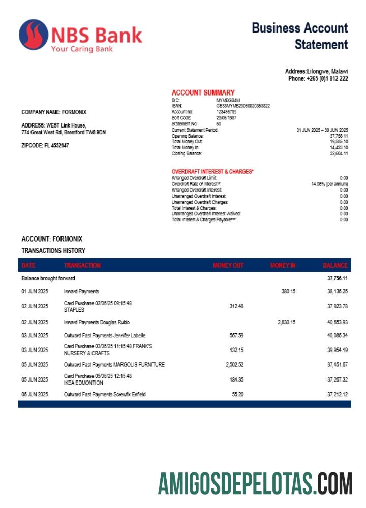 Profesional NBS enterprise rekening laporan Word and PDF templat (1)