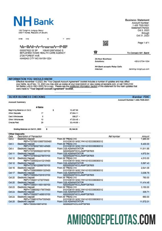Profesional NH bank firm rekening laporan Word and PDF templat