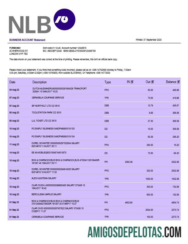 Dapat Diedit NLB bank firm rekening laporan Word and PDF templat