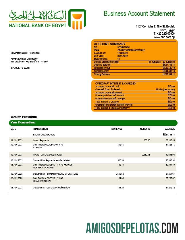 Profesional nasional bank of Mesir Perusahaan rekening laporan Word and PDF templat