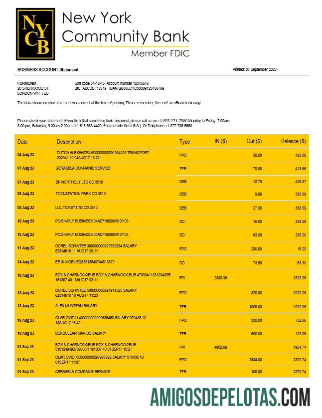 Profesional Baru York Community Bancorp enterprise rekening laporan Word and PDF templat