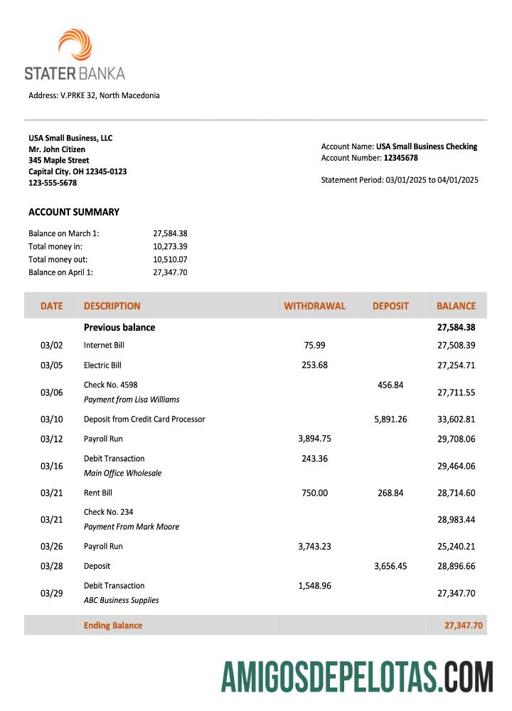 Premium Makedonia Utara Stater Banka firm rekening laporan Word and PDF templat