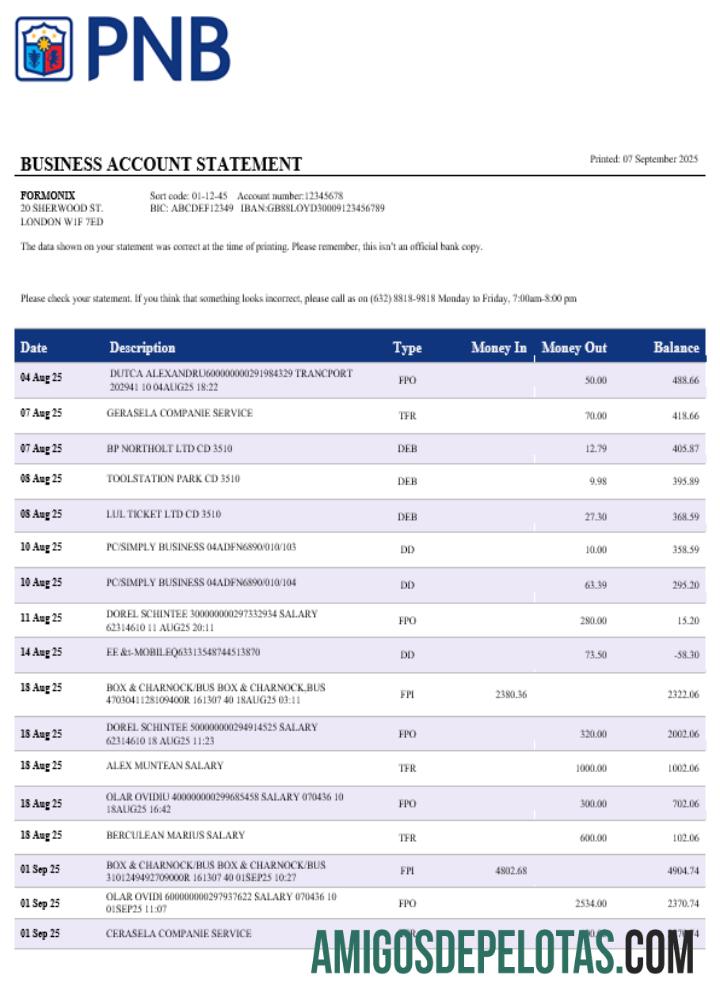 Profesional PNB bank bisnis rekening laporan Word and PDF templat
