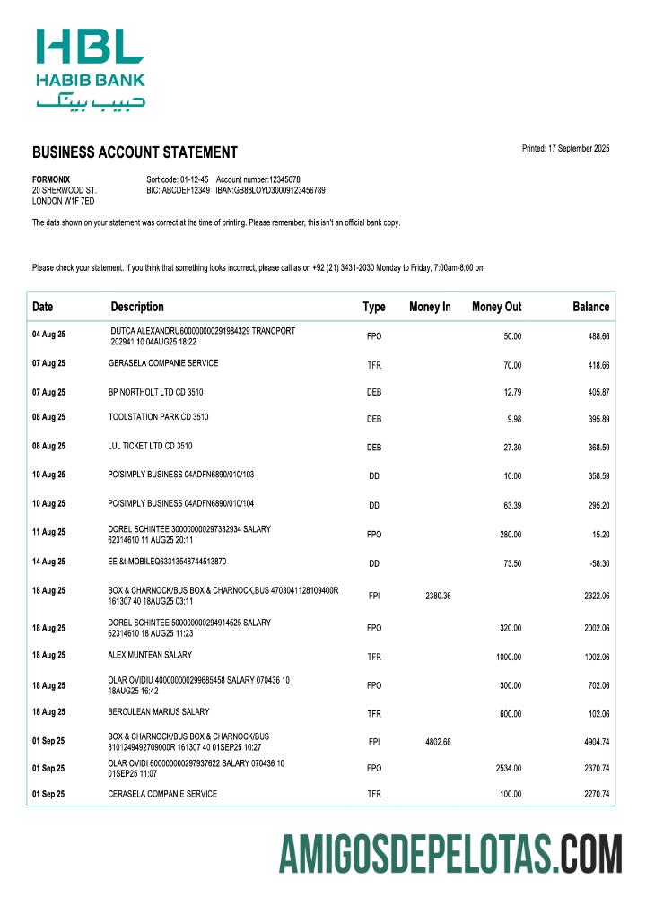 Realistis Pakistan Habib bisnis checking rekening laporan Word and PDF templat