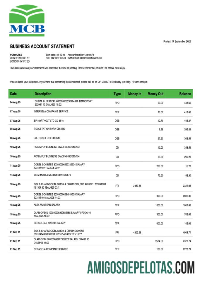 Dapat Diedit Pakistan MCB bisnis checking rekening laporan Word and PDF templat