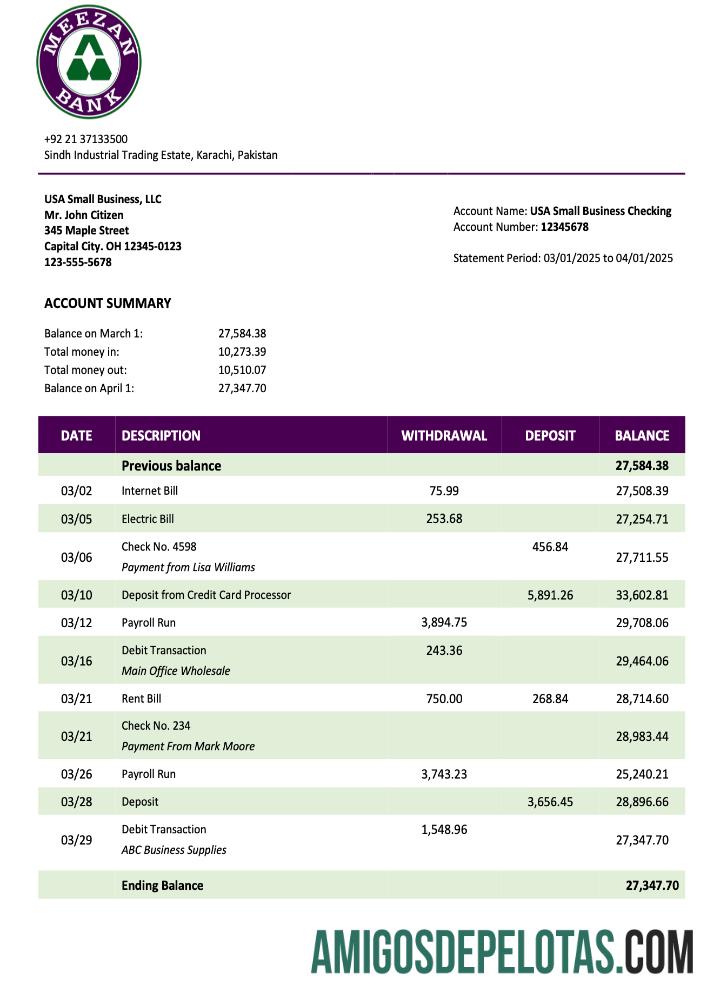 Realistis Pakistan Meezan bank organization laporan Word and PDF templat
