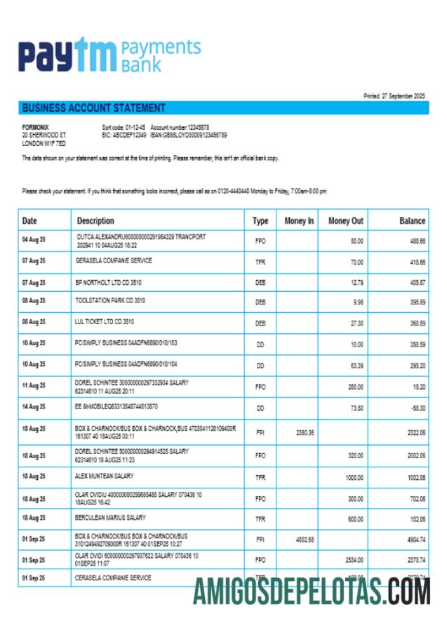 PayTM Payments bisnis Perusahaan rekening laporan Word and PDF format pratinjau