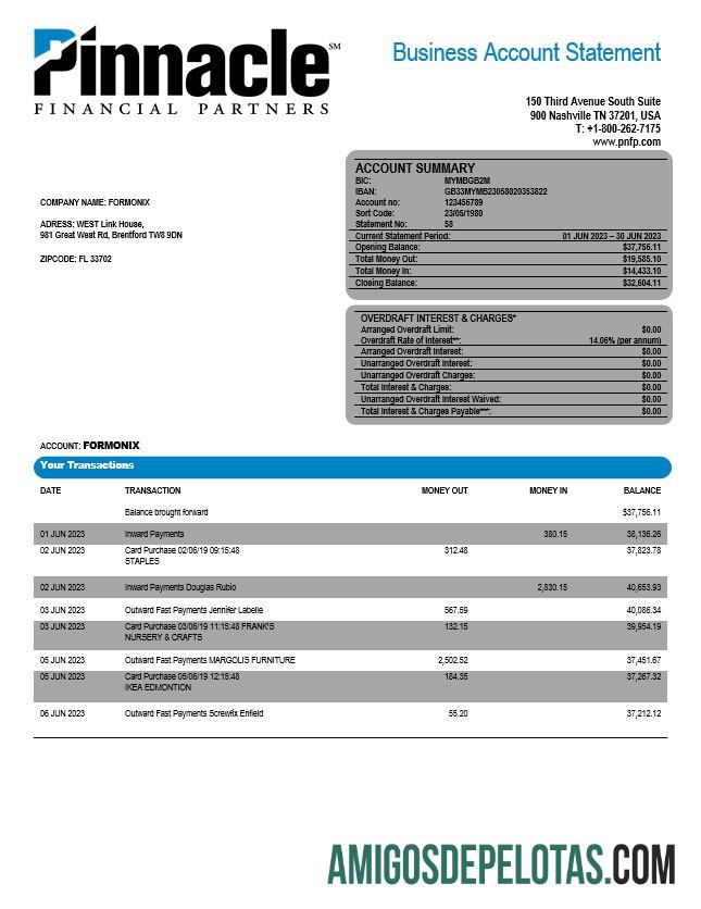 Dapat Diedit Pinnacle Financial bank firm rekening laporan Word and PDF templat
