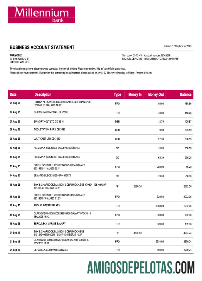 Polandia Millennium bisnis firm laporan Word and PDF format templat