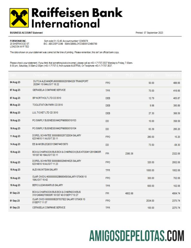 Berkualitas Raiffeisen bank International bank International Perusahaan laporan Word and PDF templat