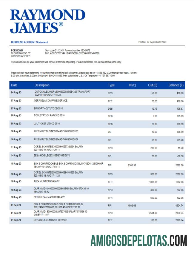 Realistis Raymond James bank organization laporan Word and PDF templat