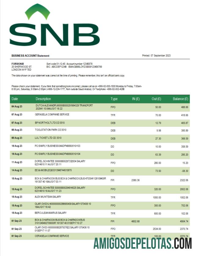 Berkualitas SNB bank enterprise laporan Word and PDF templat