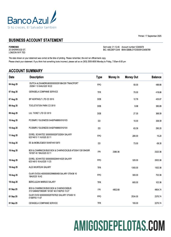 Berkualitas Salvador Banco Azul firm rekening laporan Word and PDF templat