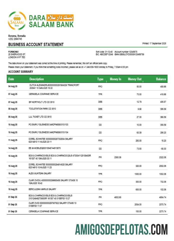 Profesional Somali Dara Salaam bank firm rekening laporan Word and PDF templat
