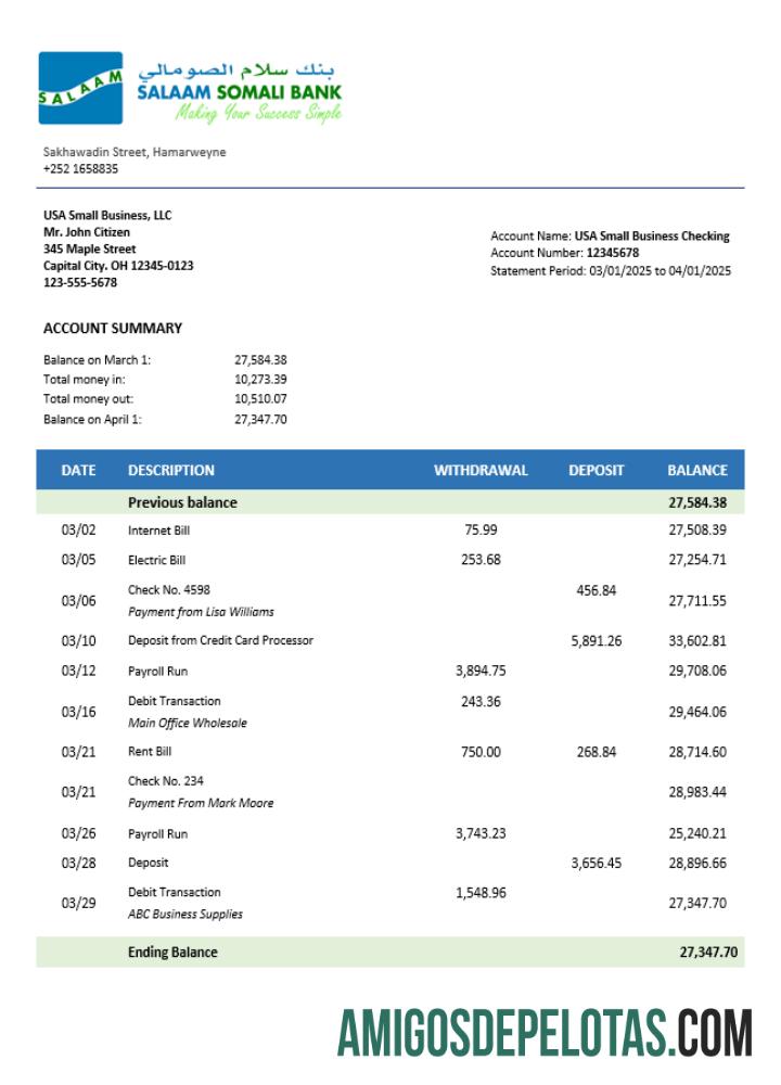 Dapat Diedit Somali Salaam Somali bank bisnis checking rekening laporan Word and PDF templat