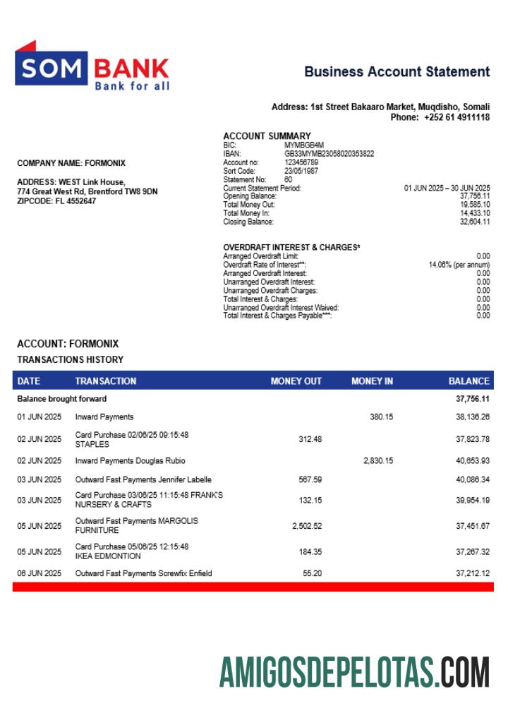 Berkualitas Somali Sombank bank firm rekening laporan Word and PDF templat