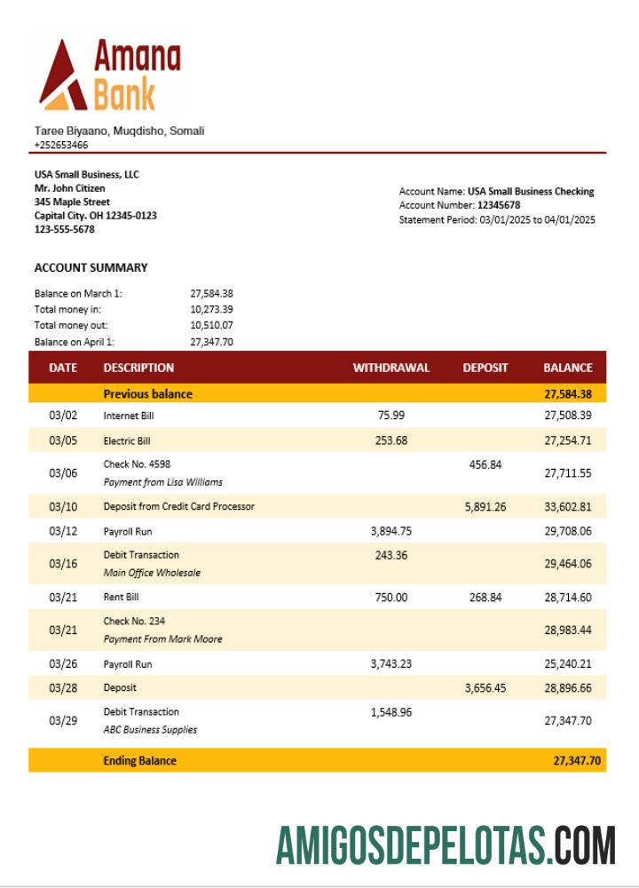 Realistis Somalia Amana bisnis checking rekening laporan Word and PDF templat