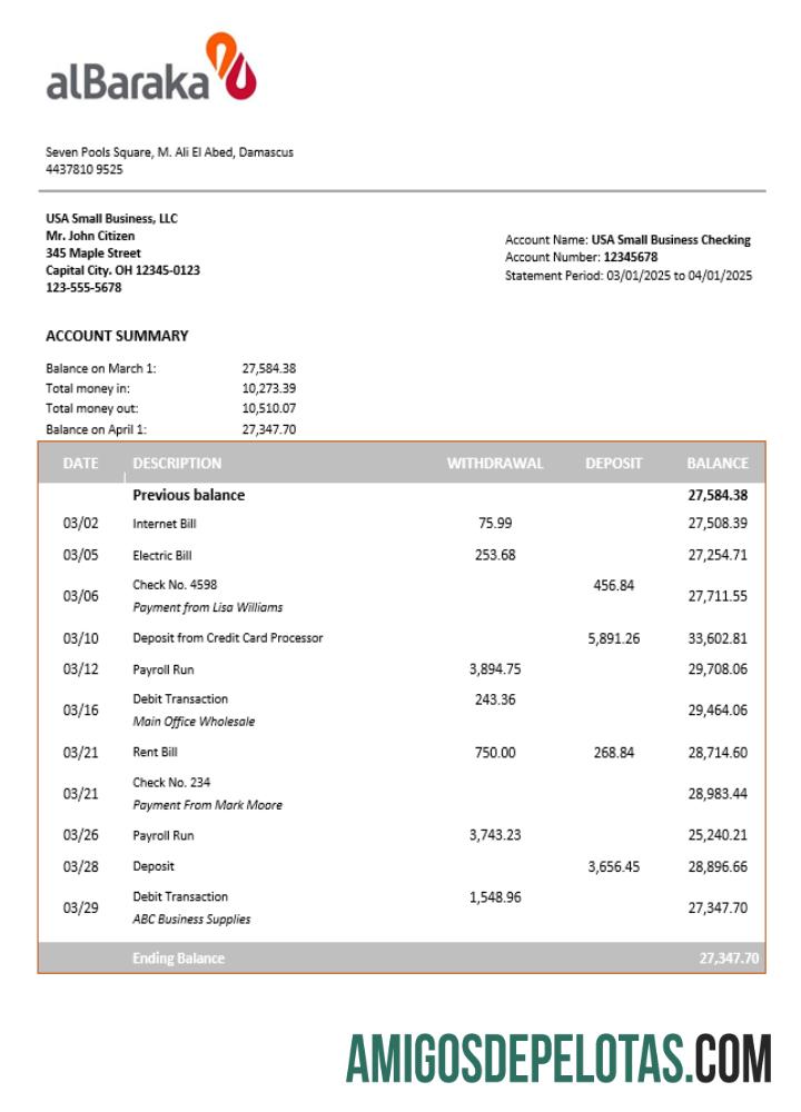 Berkualitas Syrian Al Baraka corporate checking rekening laporan Word and PDF templat