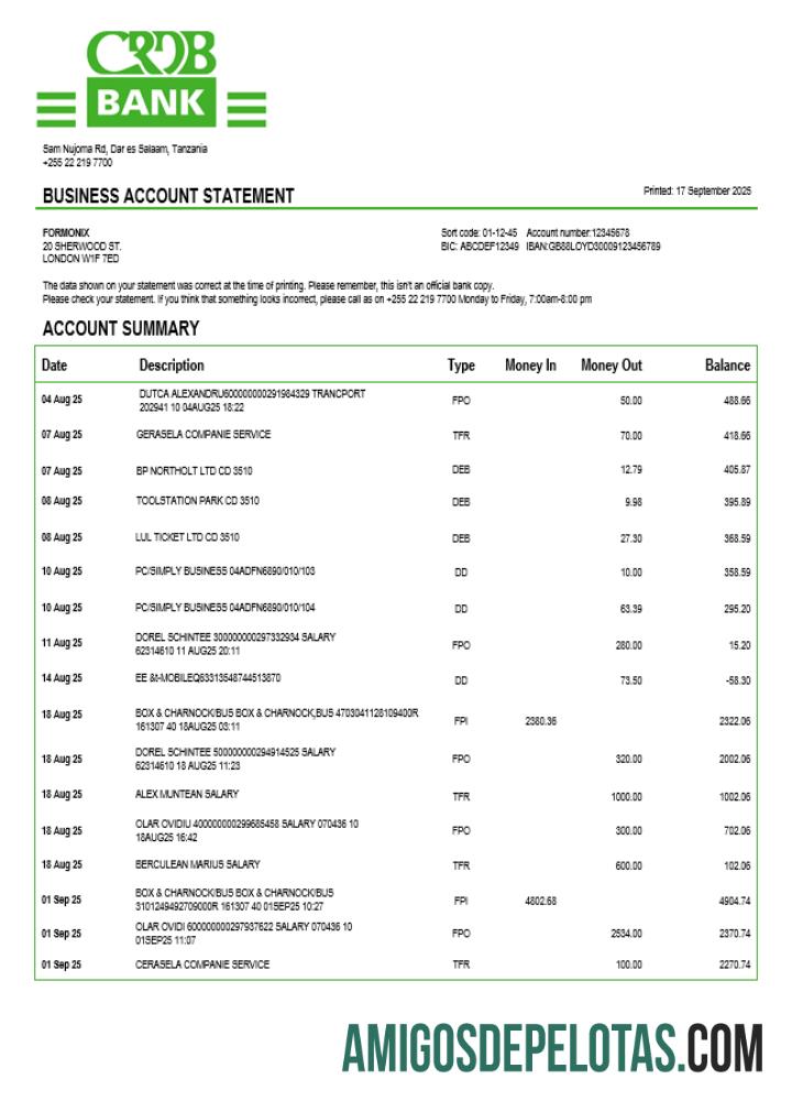 Berkualitas Tanzania CRDB Perusahaan checking rekening laporan Word and PDF templat