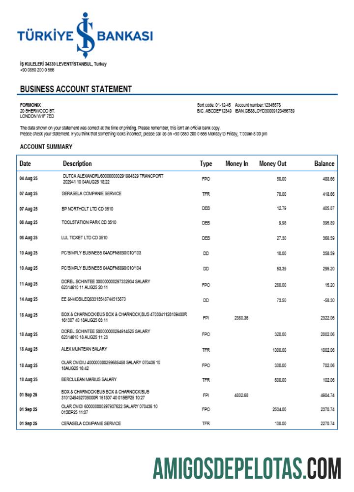 Berkualitas Turkish Bankasi enterprise laporan Word and PDF templat